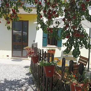 Appartamento Malcontenta, Mira